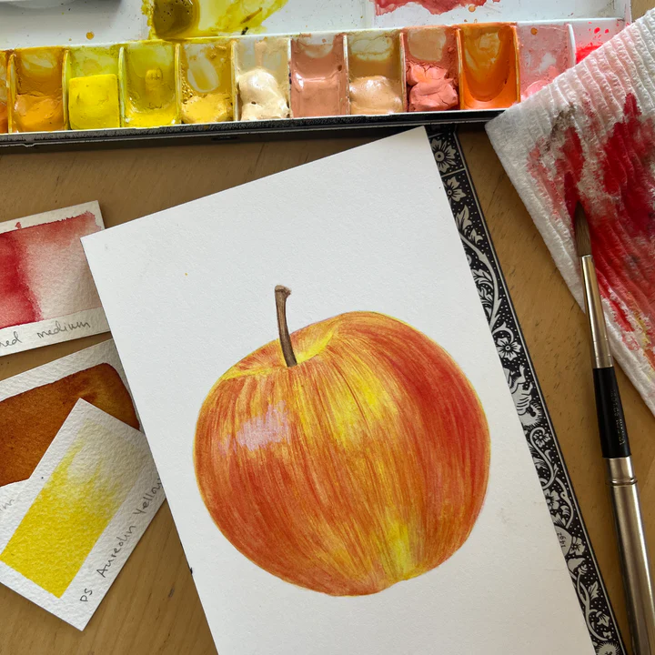 Watercolor of apple