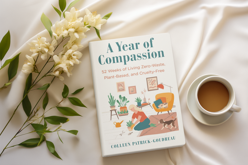 A Year of Compassion